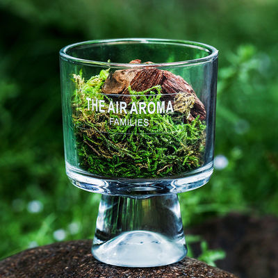 Диффузер для домашнего аромата из стеклянной бутылки 100 мл