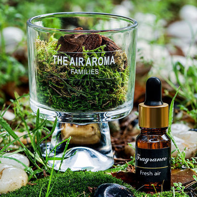 Элегантный дизайнер домашнего декора 100 мл Стеклянный диффузер с ароматным маслом