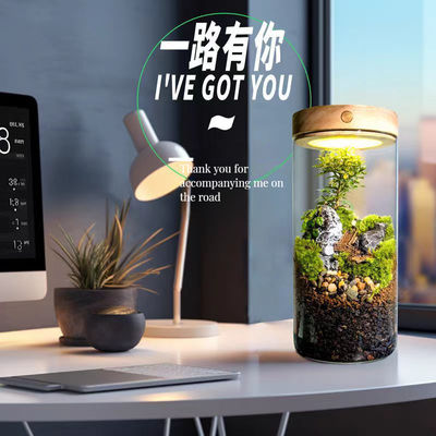 Элегантная глиняная керамическая столовая теплица лампа для моховых террариумов в современном дизайне